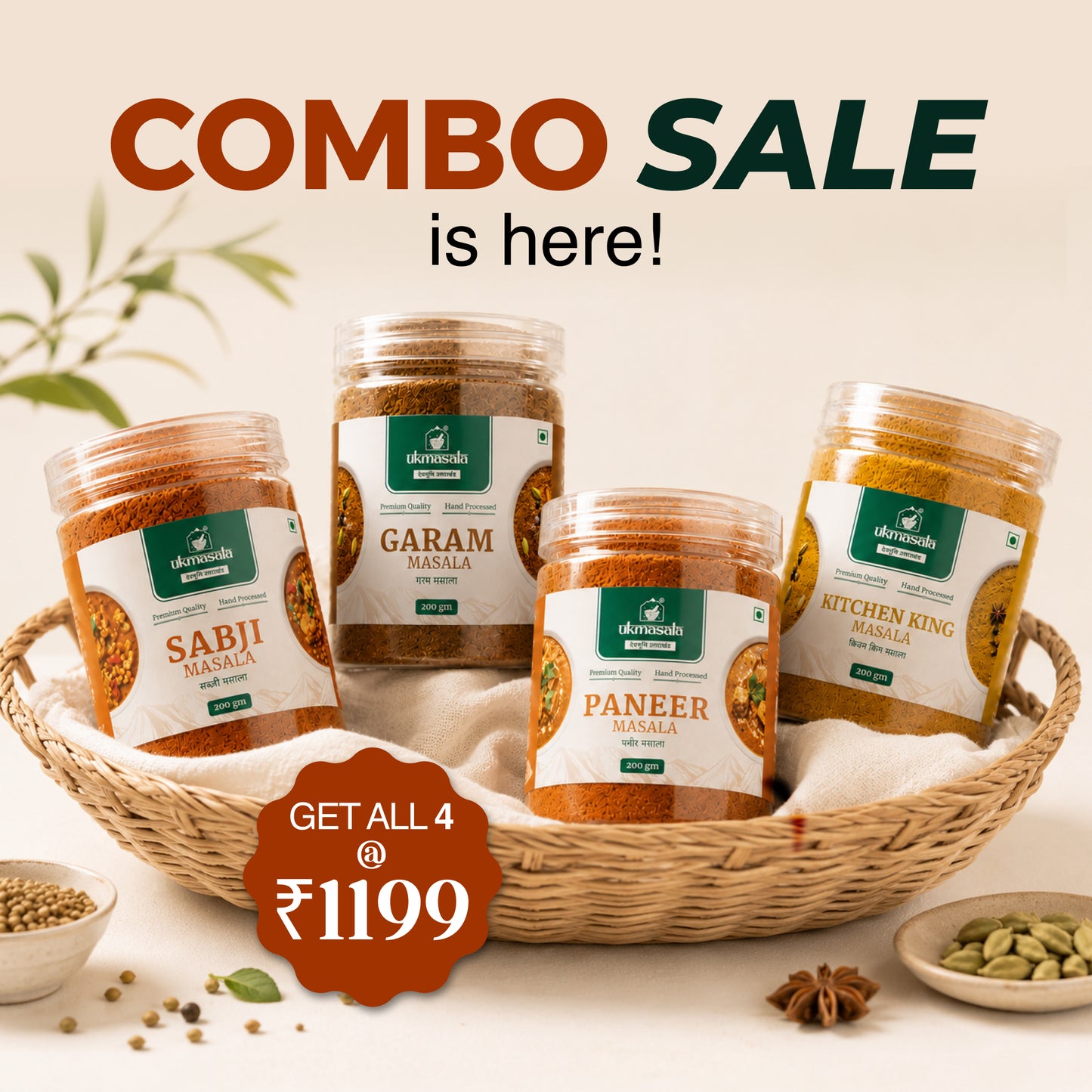 Flavor Masale Combo
