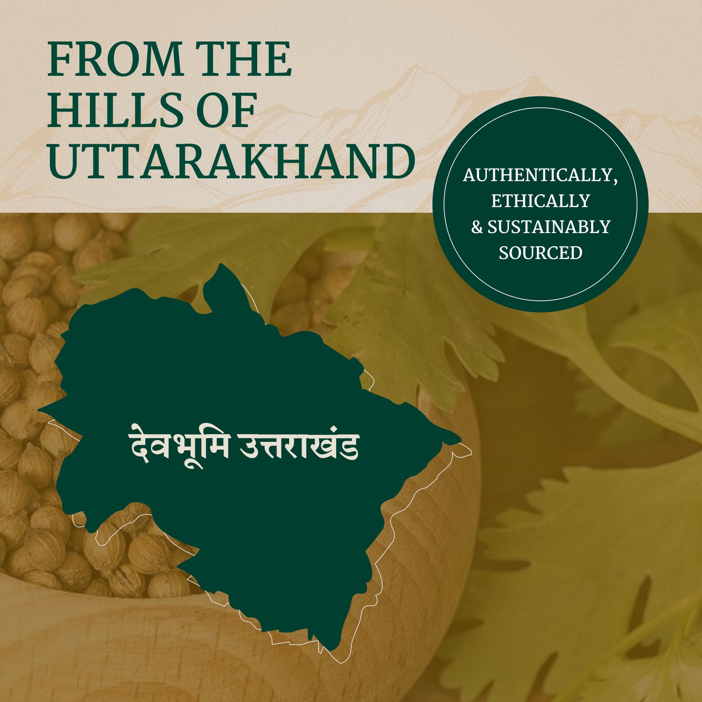 Coriander Powder | UK Masala | 100% Organic