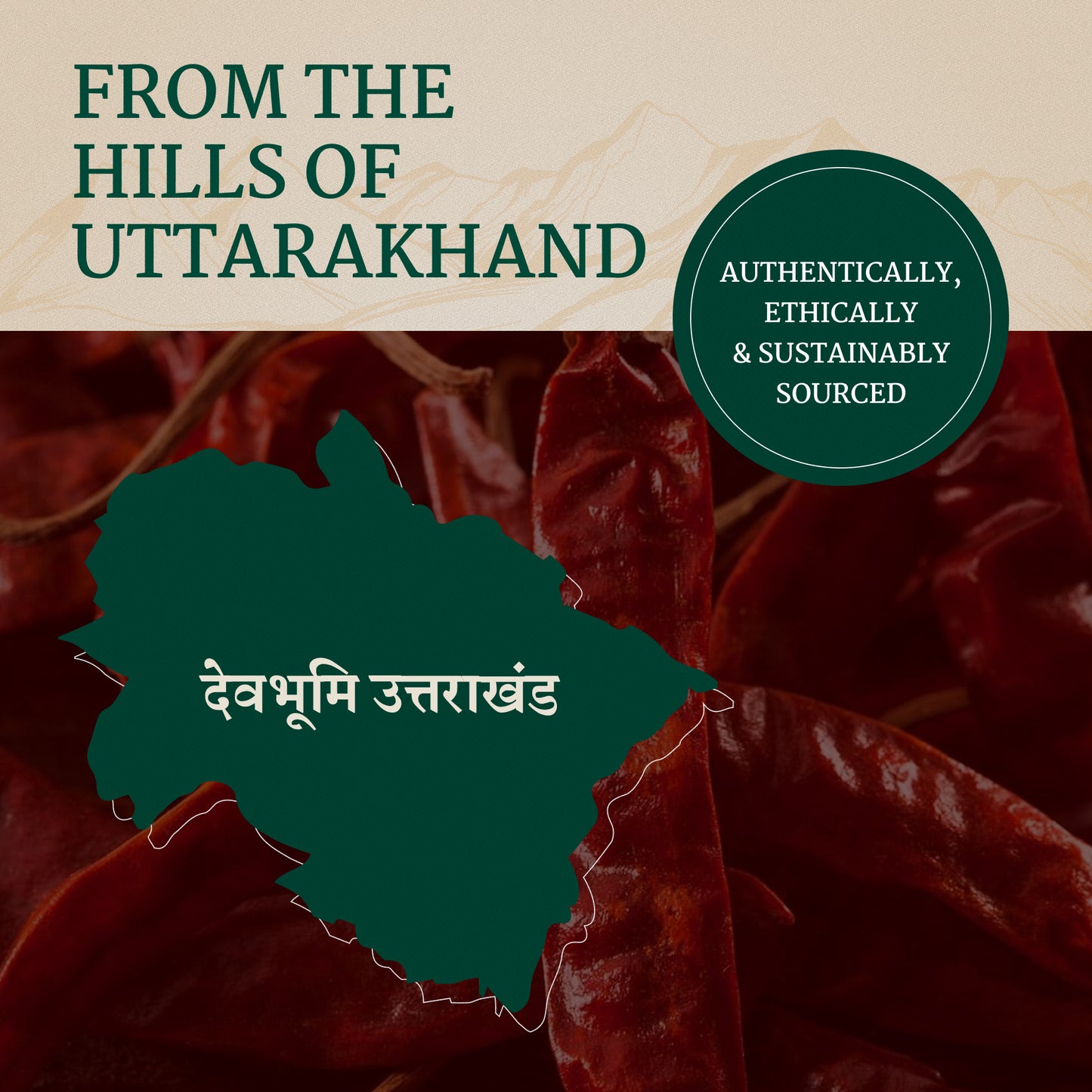 Red Chilli Powder | UK Masala | 100% Organic