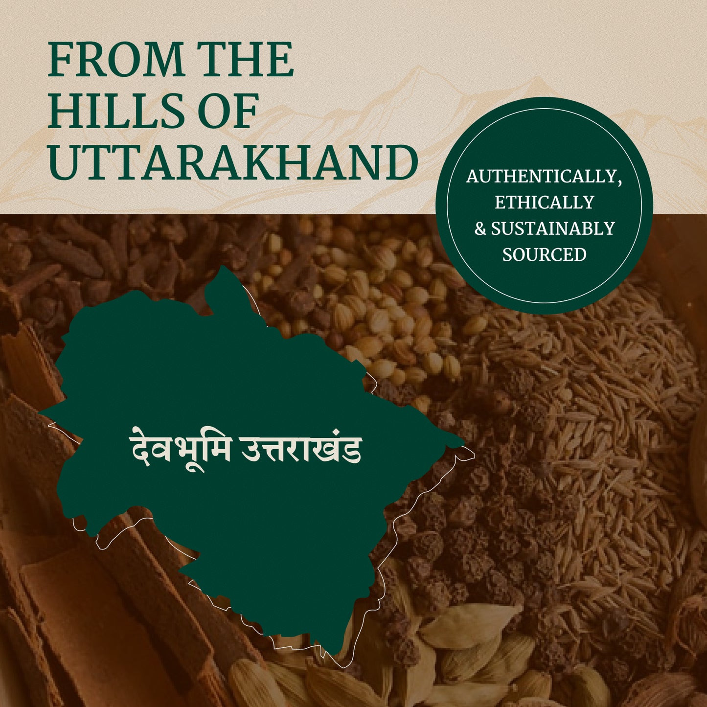 Mix Coriander Powder | UK Masala | 100% Organic